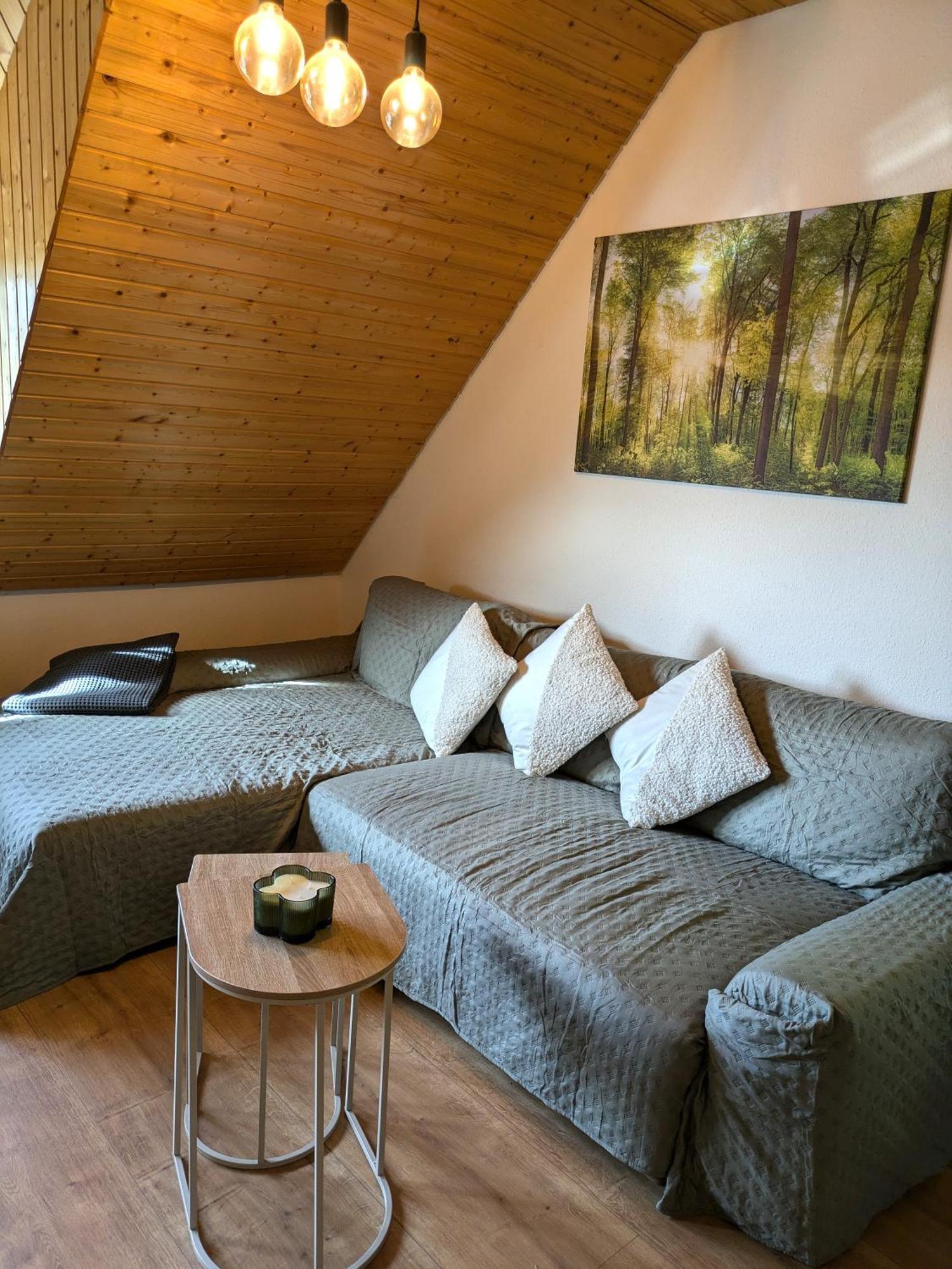 Black Forest Living - Todtnauberg Διαμέρισμα Εξωτερικό φωτογραφία